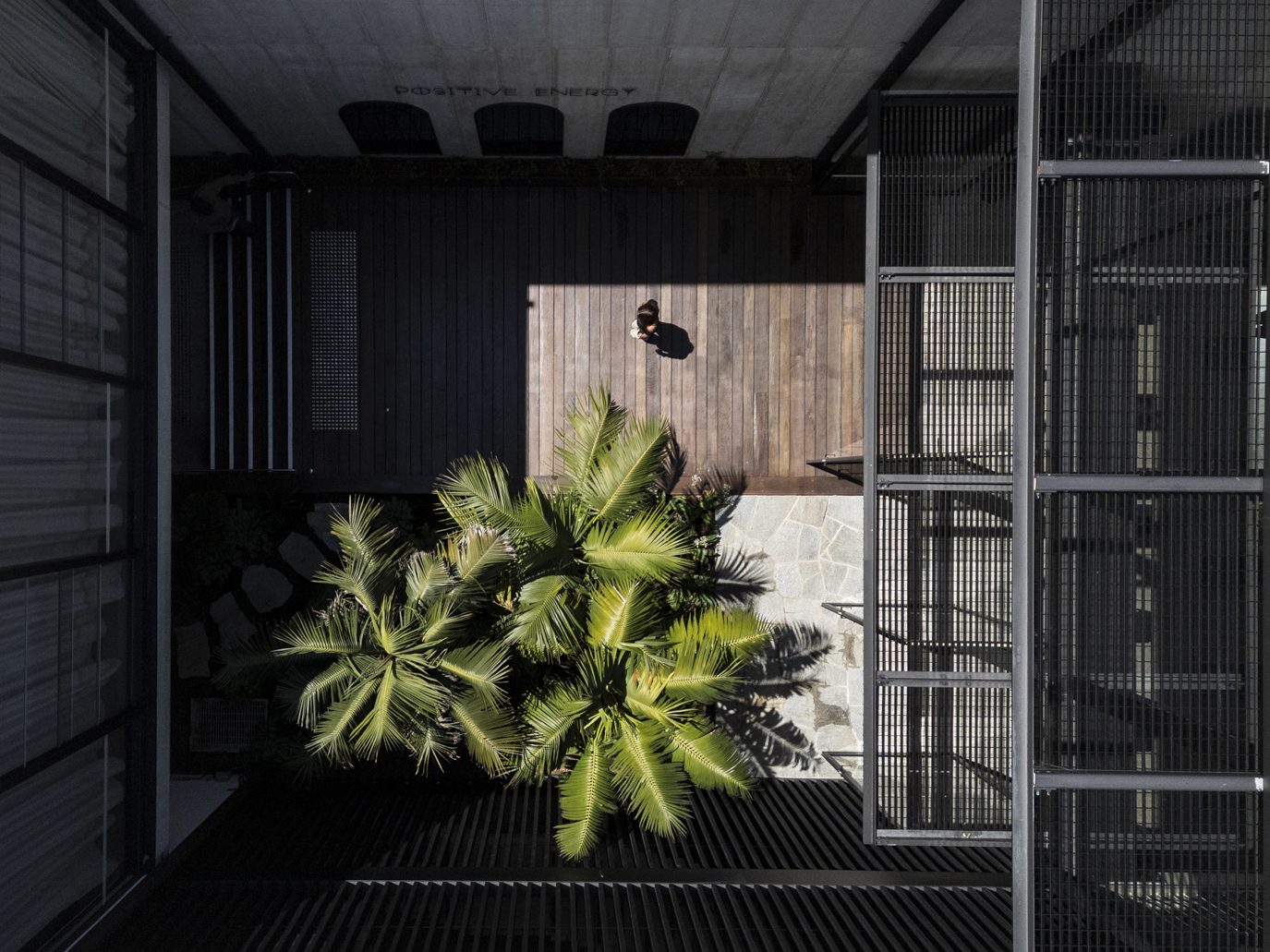 WINDMILL Moss Piglet Sydney Opera House 2025